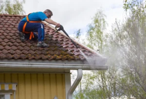 Roof gutter washing