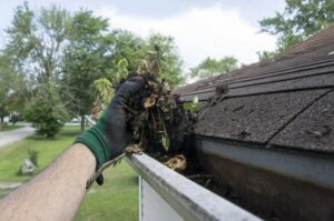 Gutter Cleaning