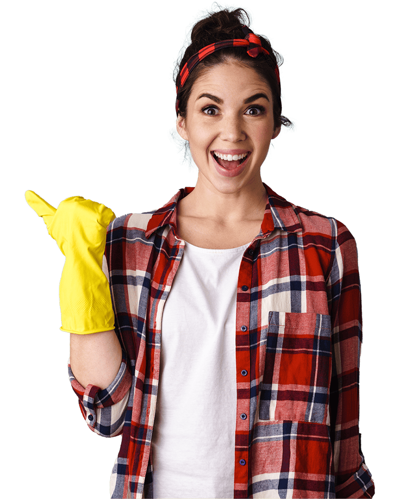 Professional cleaners