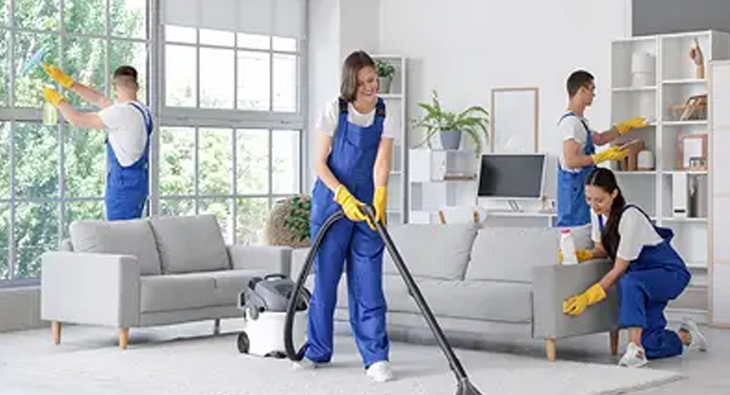 regular cleaning services
